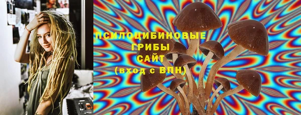 мдпв Беломорск