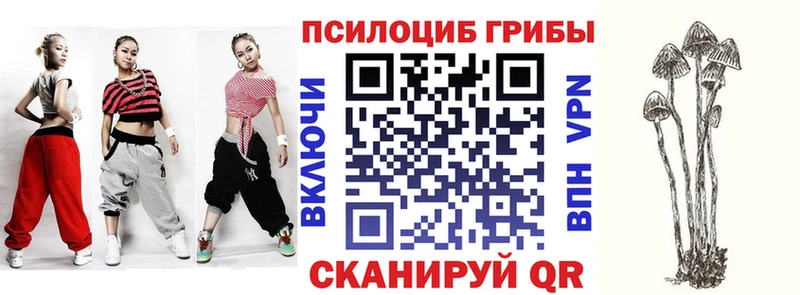 Псилоцибиновые грибы GOLDEN TEACHER  Шилка 