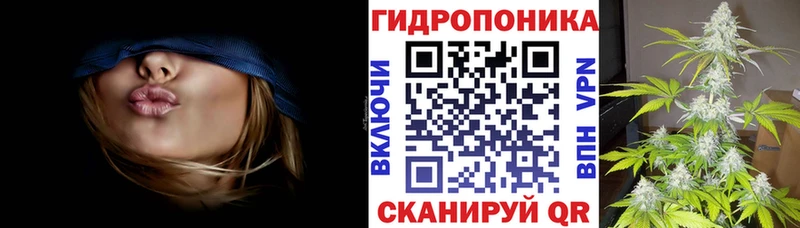 Каннабис Ganja  Шилка 
